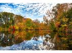 Home in Medford Run by JPOrleans