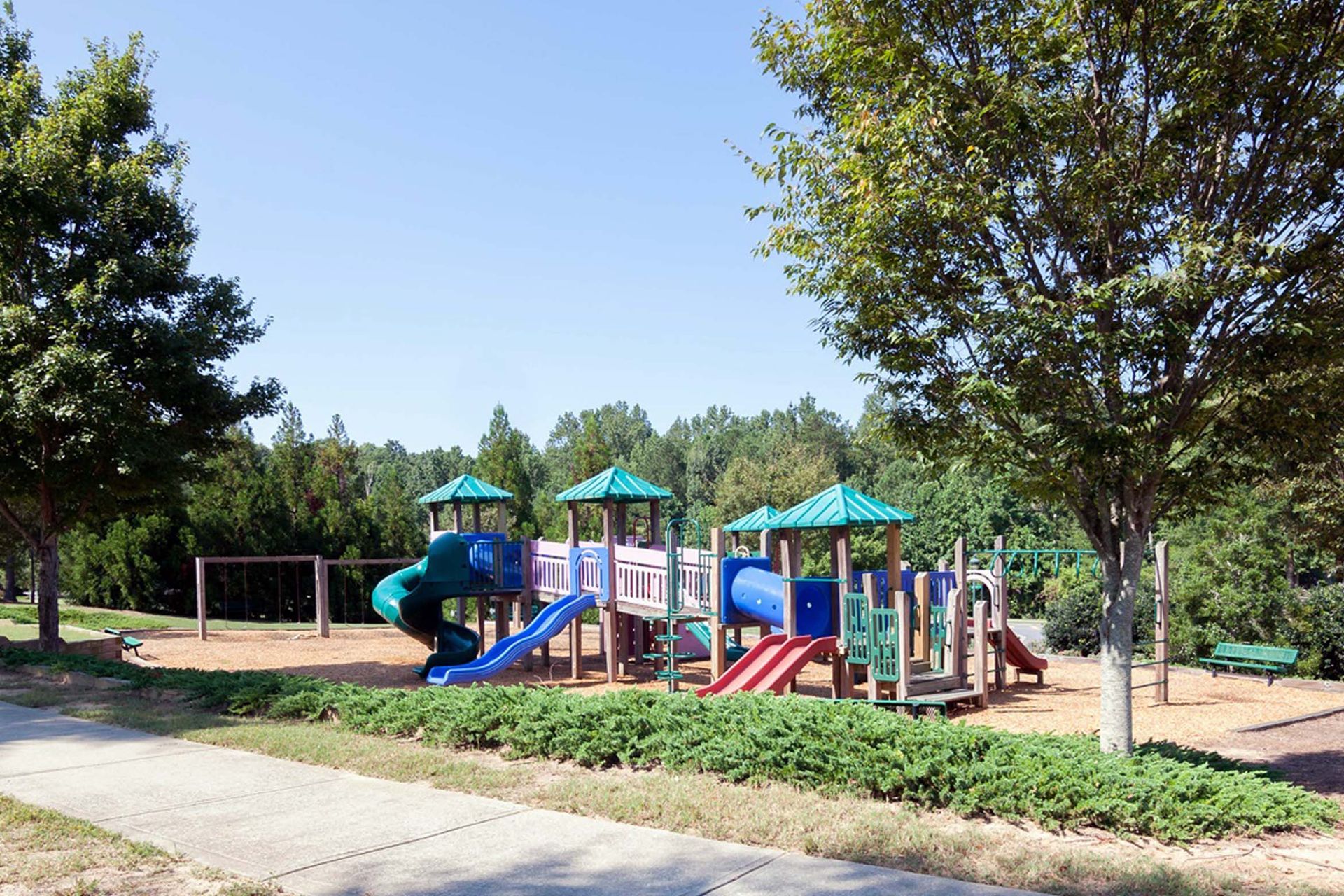 Community Image