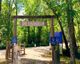 homes in Grand Central Park by Jamestown Estate Homes by Jamestown Estate Homes
