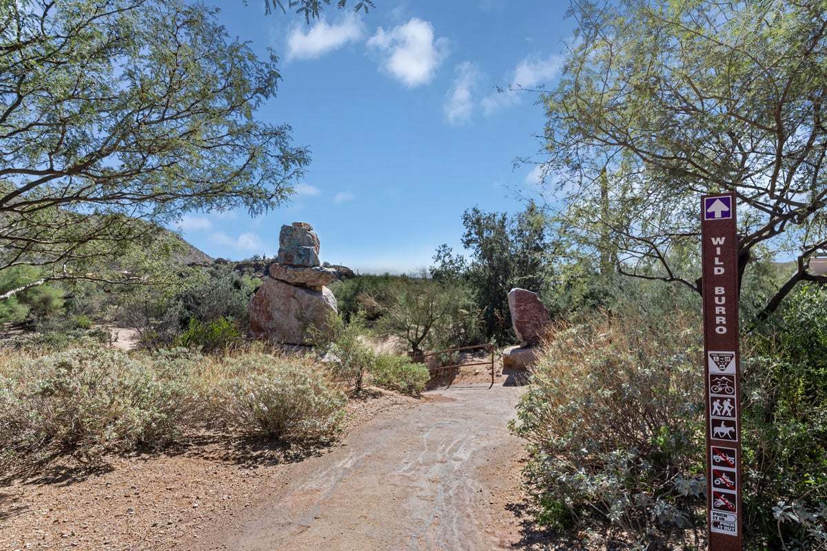 Close to hiking, biking and horseback riding at Wild Burro Trailhead
