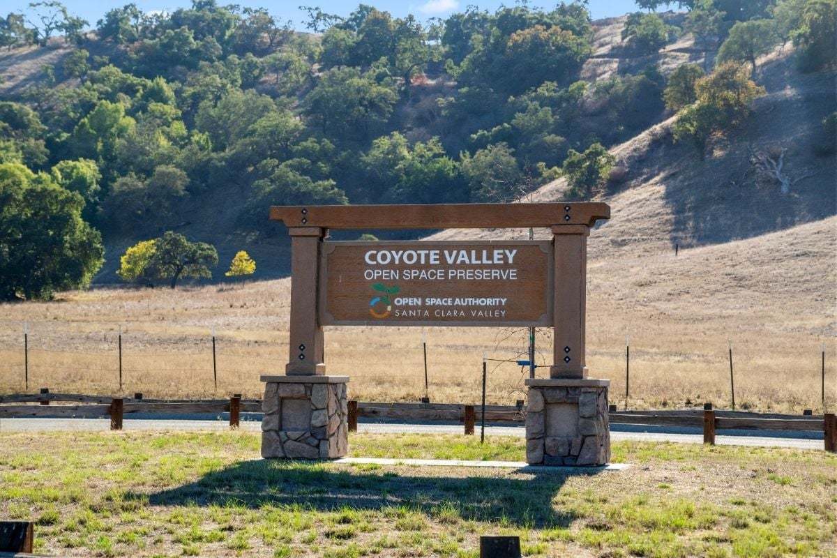 Hiking nearby at Coyote Valley Open Space Reserve