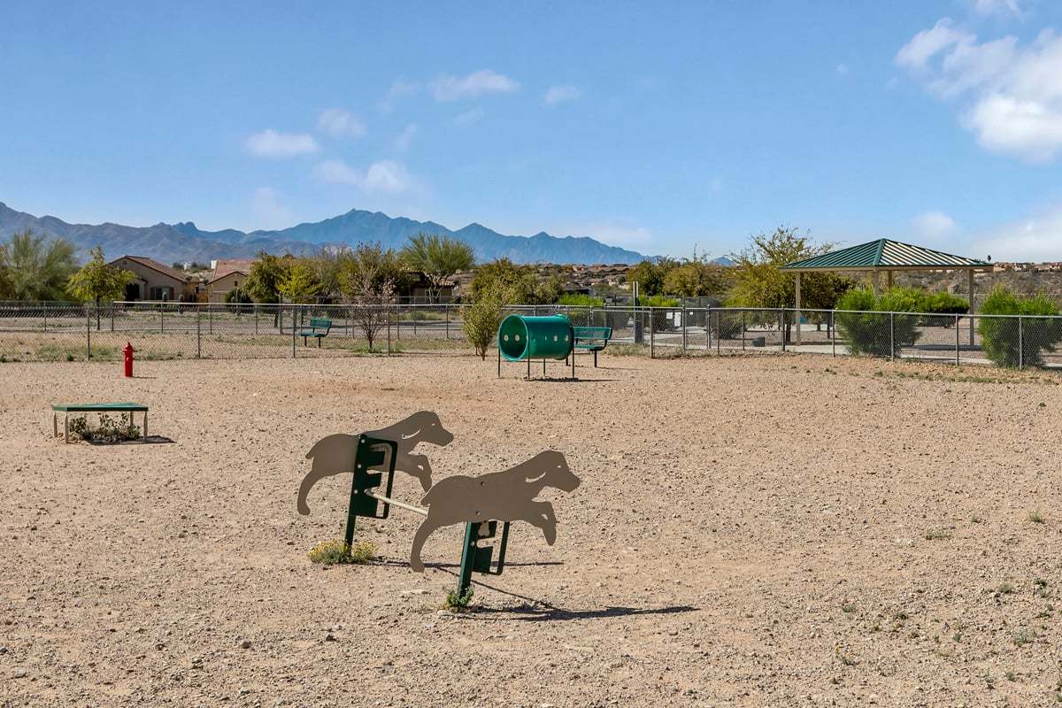 Community dog park
