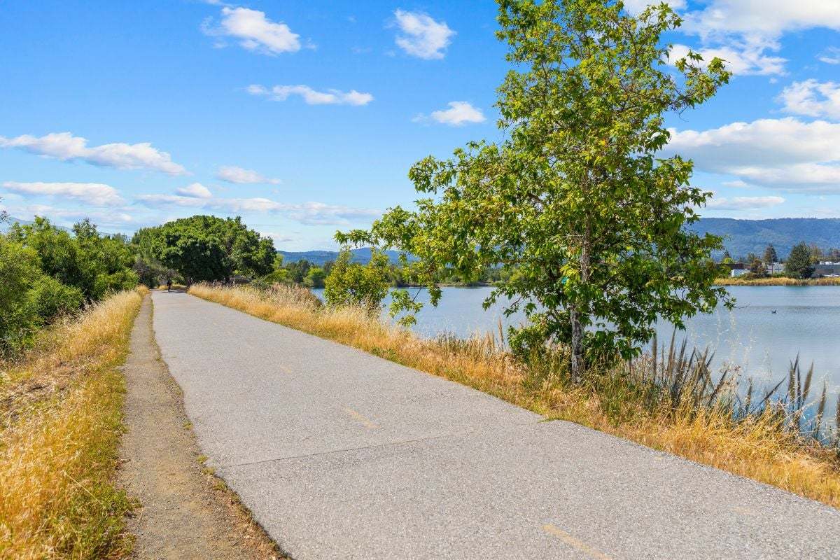 Near Los Gatos Creek Trail