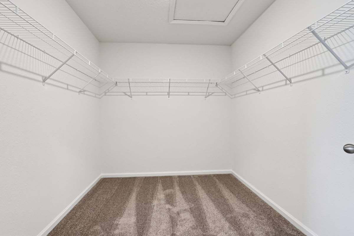 Primary walk-in closet