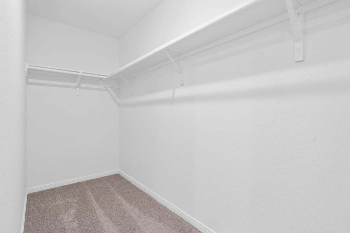 Primary walk-in closet
