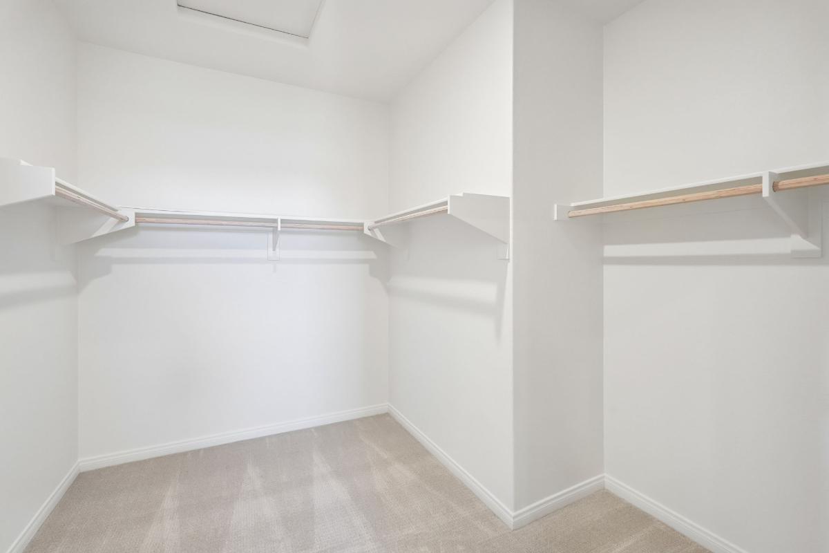 Primary walk-in closet