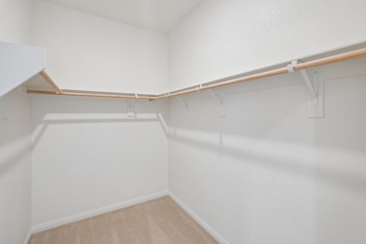 Primary walk-in closet