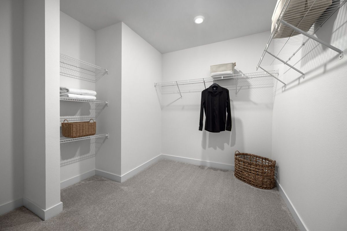Plan 2469 Modeled - Primary walk-in closet