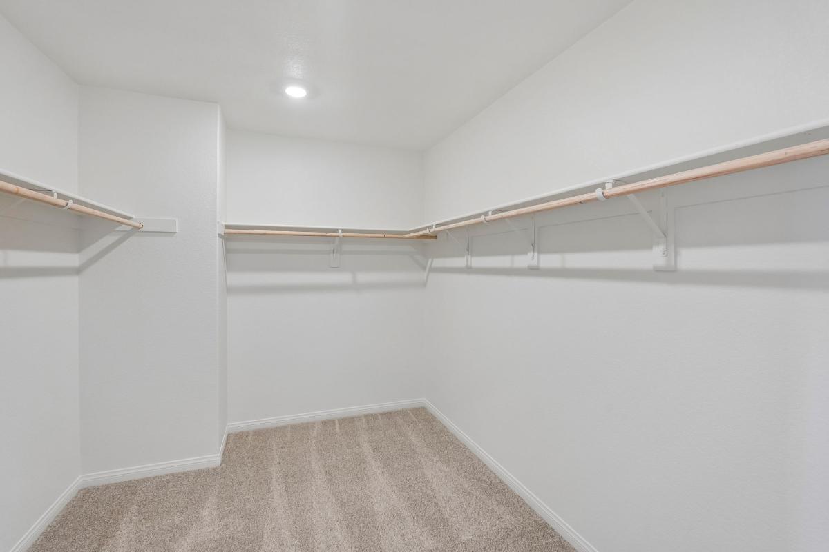 Primary walk-in closet