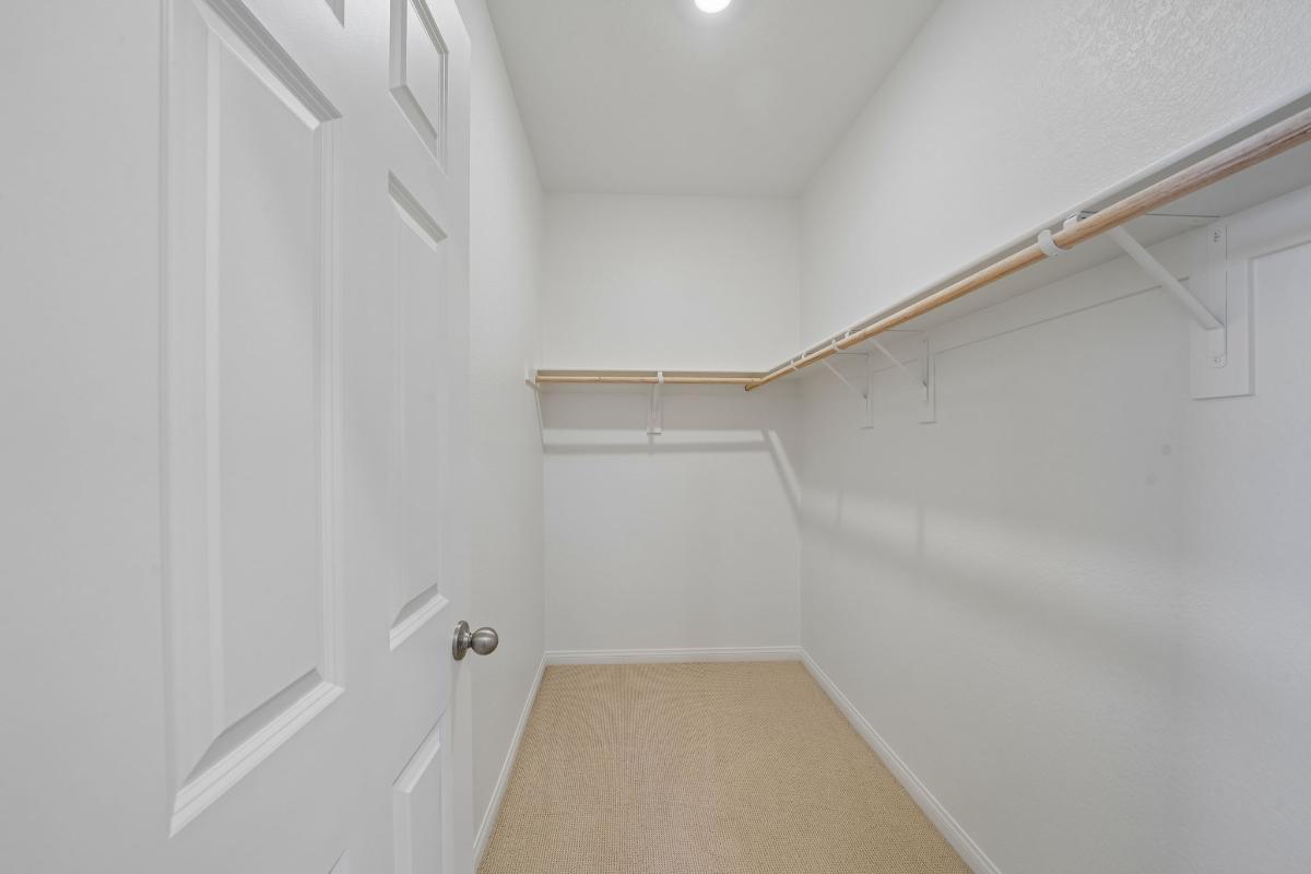 Primary walk-in closet
