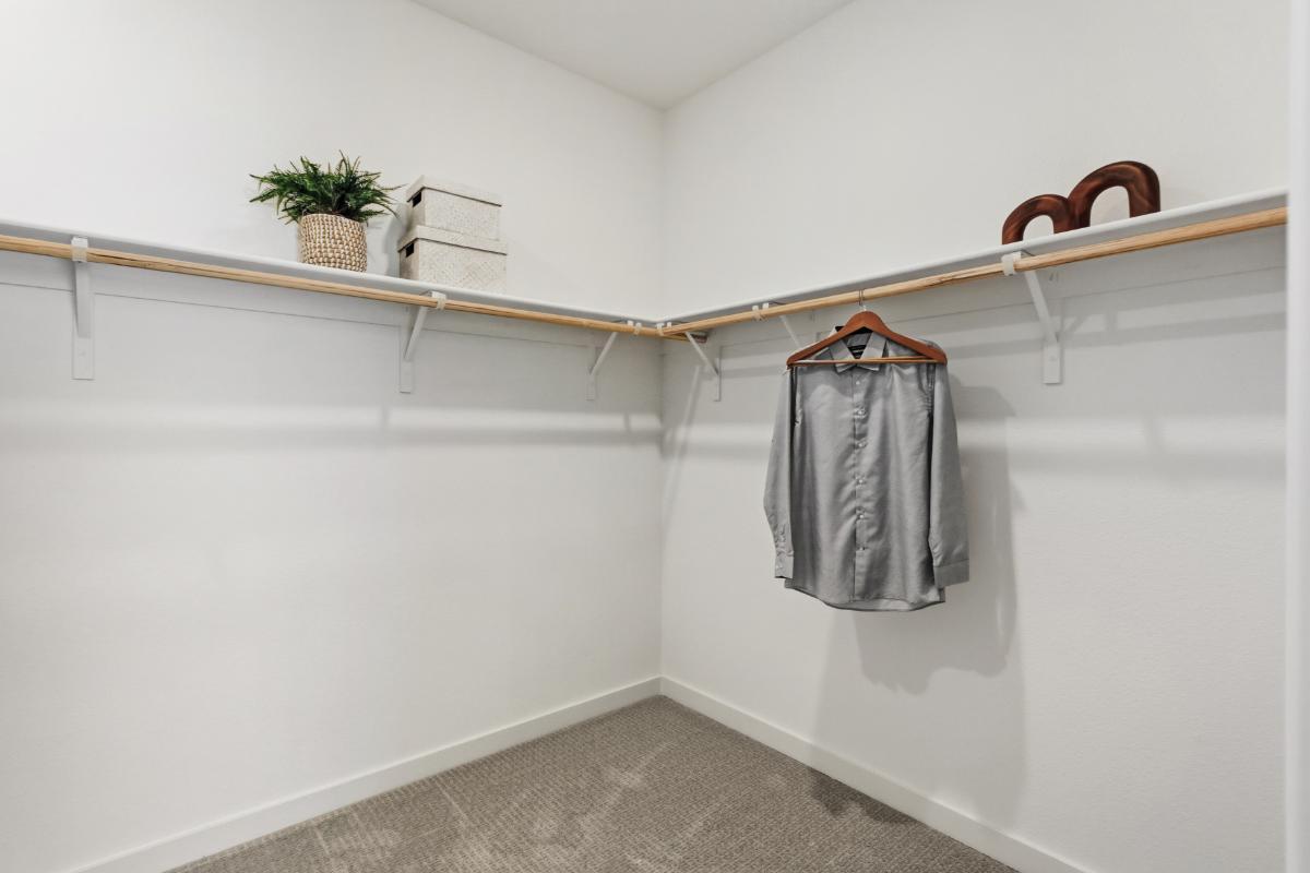 Primary walk-in closet
