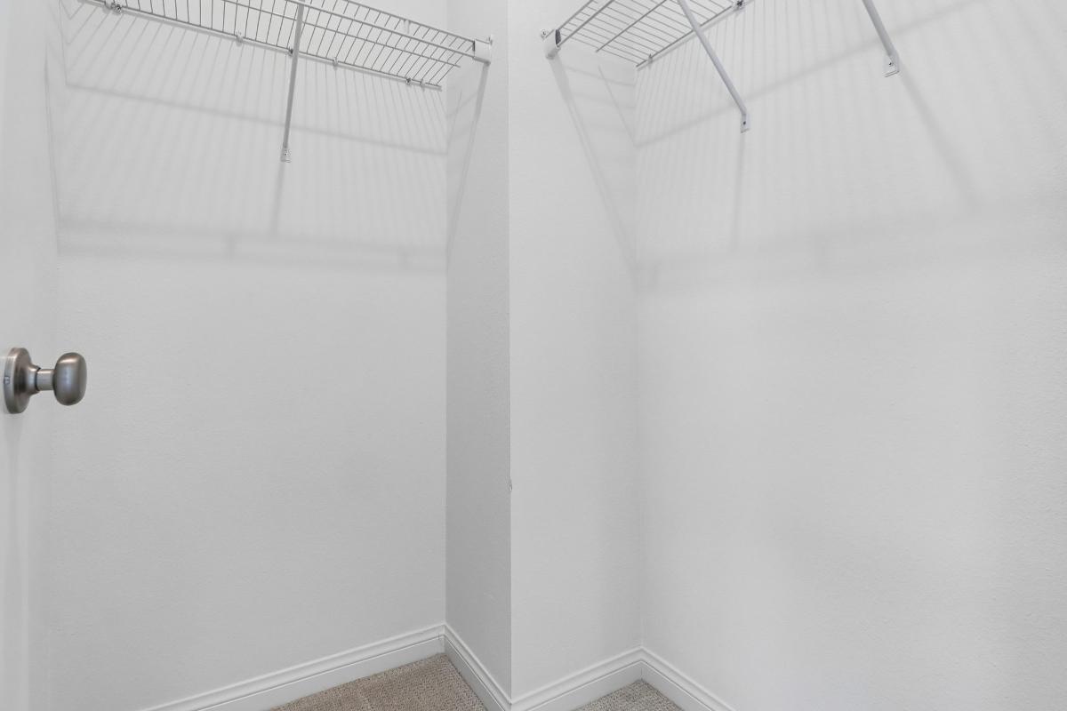 Primary walk-in closet