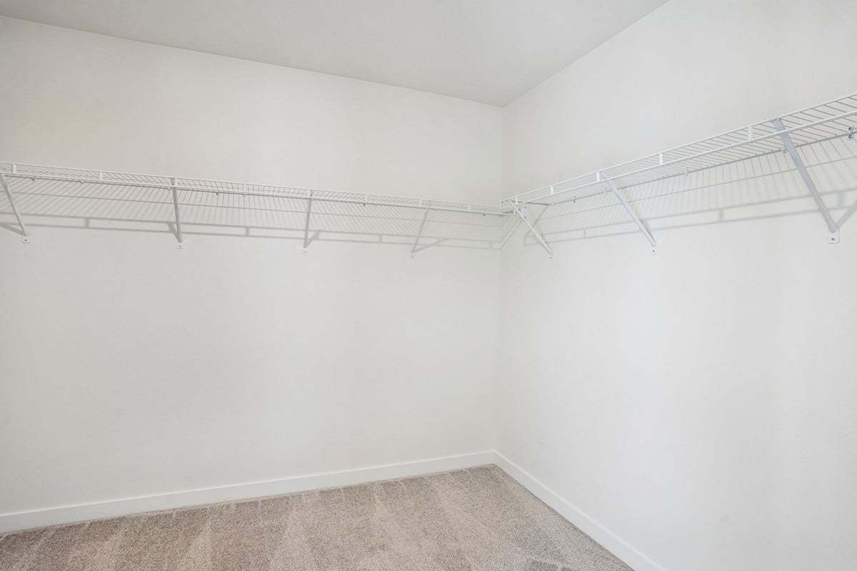 Primary walk-in closet
