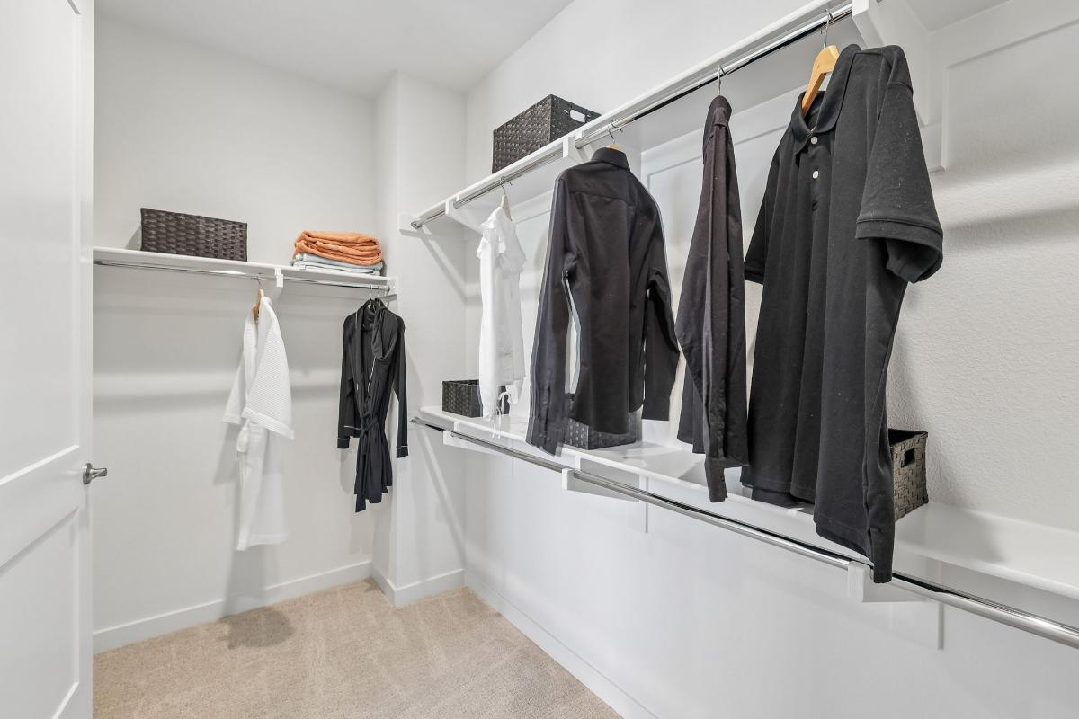 Primary walk-in closet