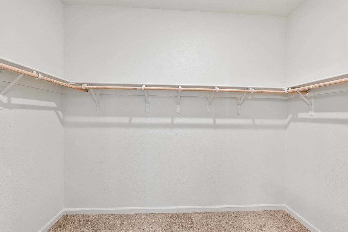 Primary walk-in closet