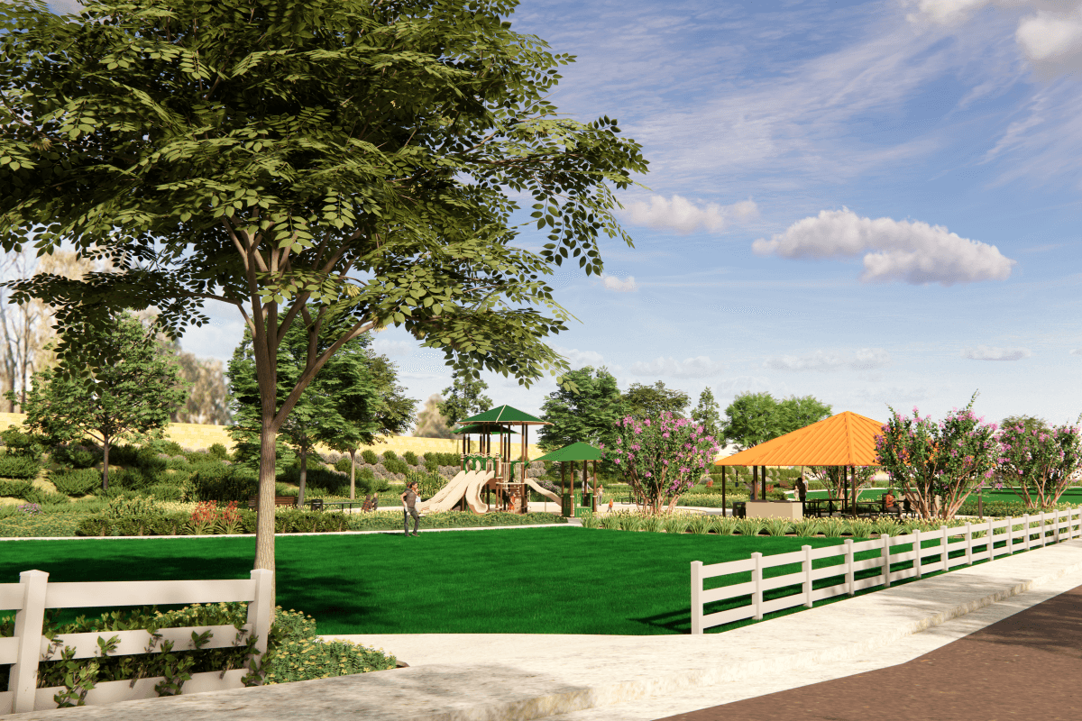 Future planned playground
