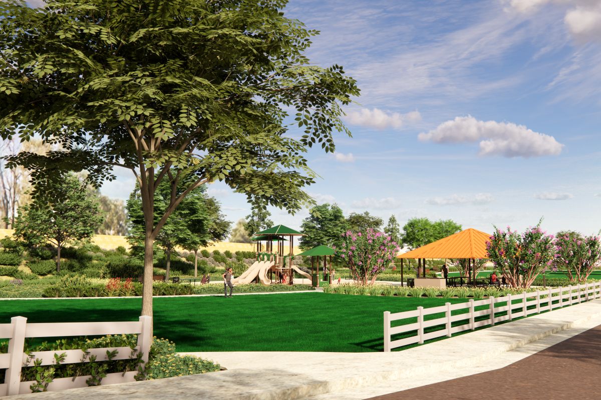 Future planned playground