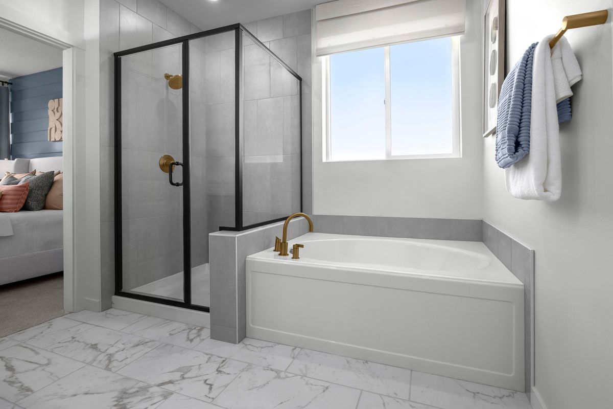 Plan 1646 Modeled - Tub and separate shower at primary bath