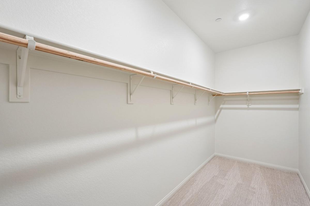 Primary walk-in closet
