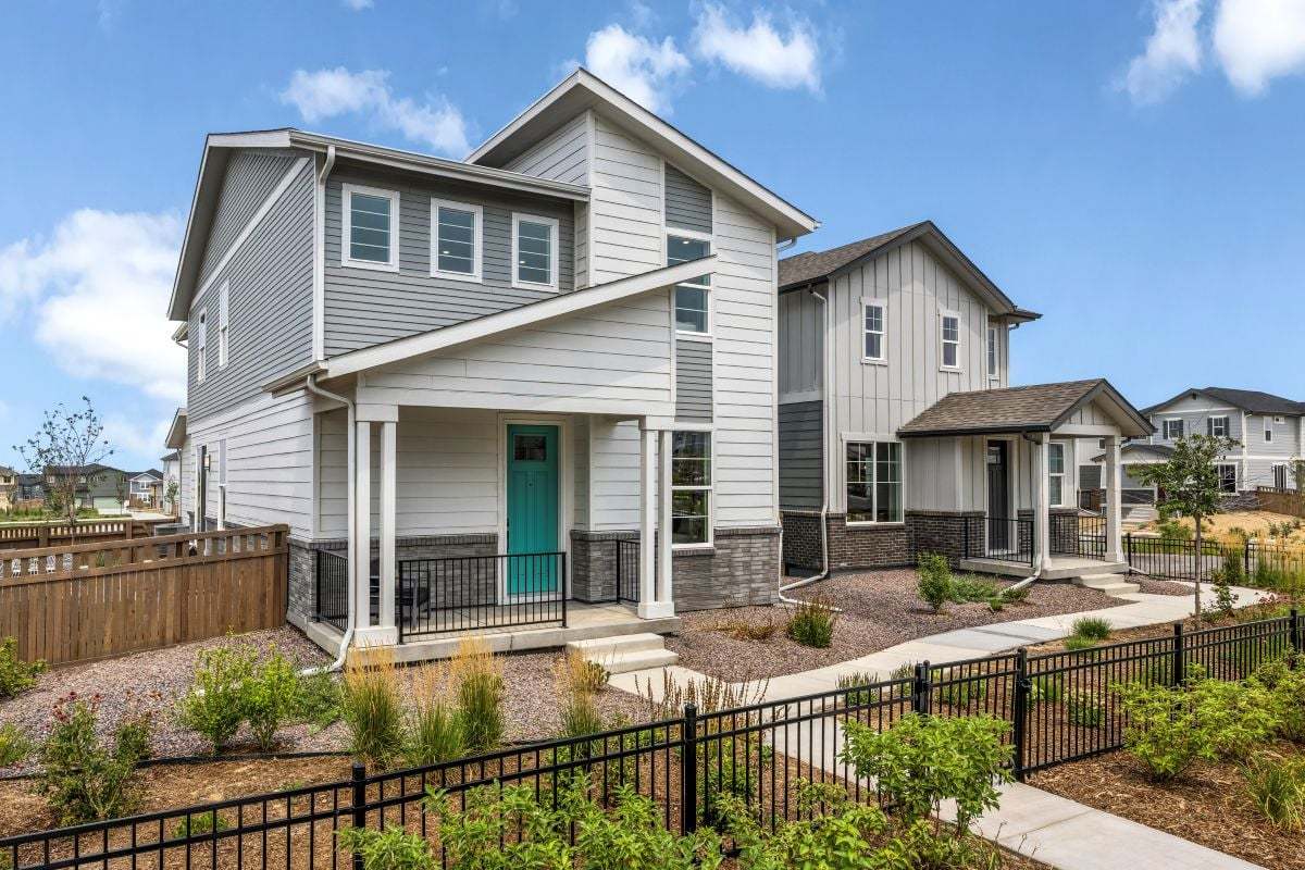 Windler Wildflower - Aurora, CO