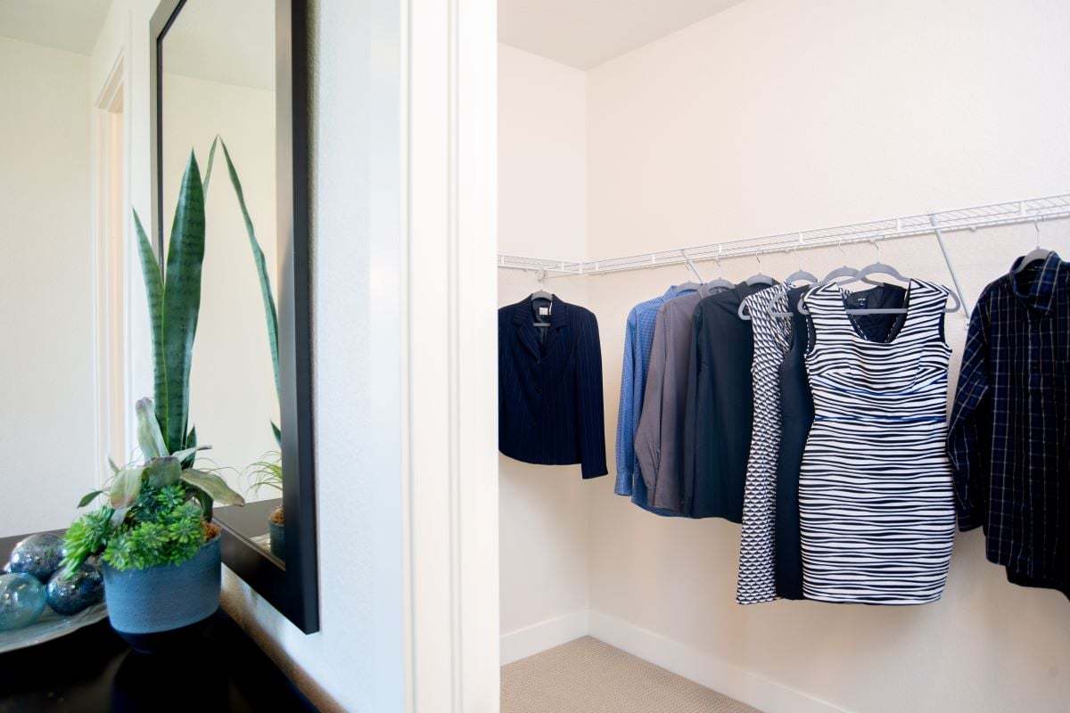 Plan 1429 Modeled - Walk-in closet