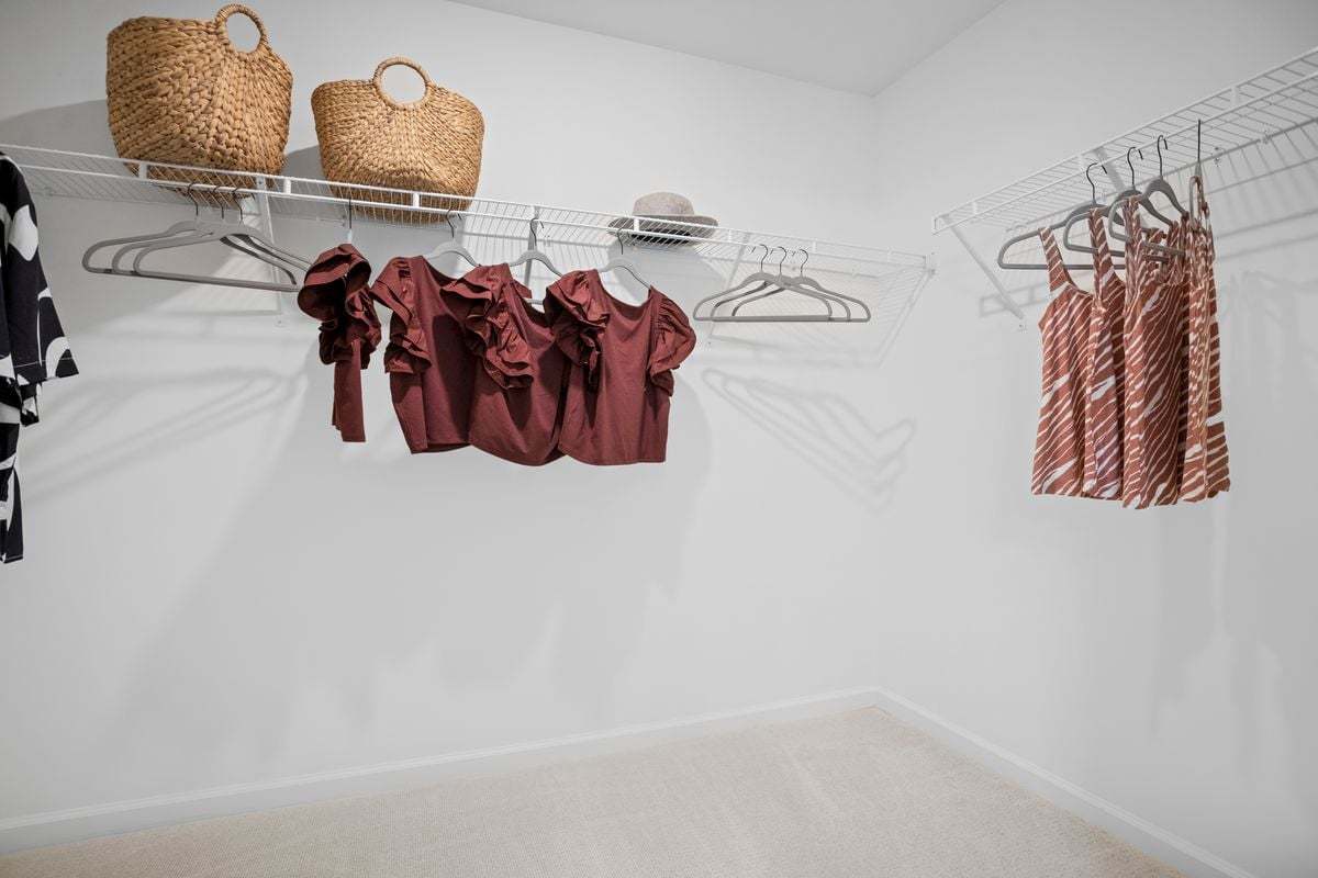 Plan 1731 Modeled - Walk-in closet at primary suite