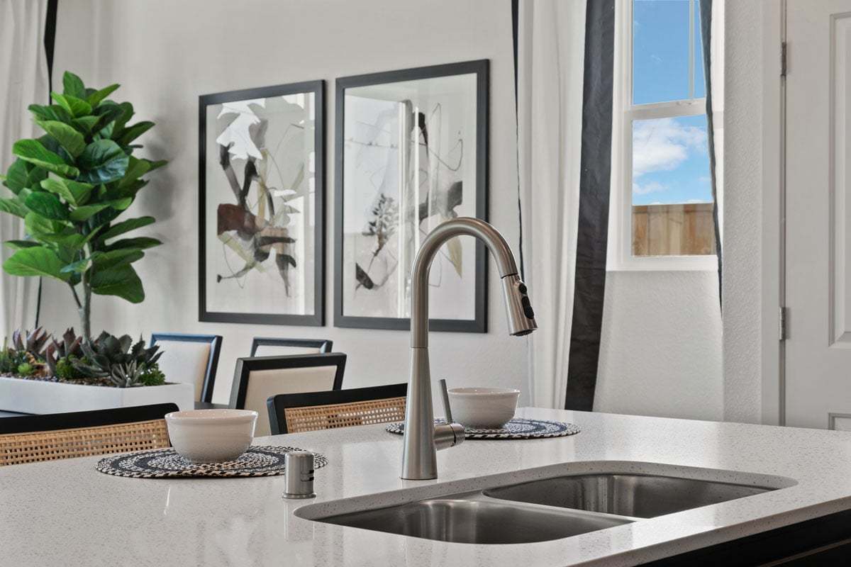 Plan 1429 Modeled - Double-basin kitchen sink