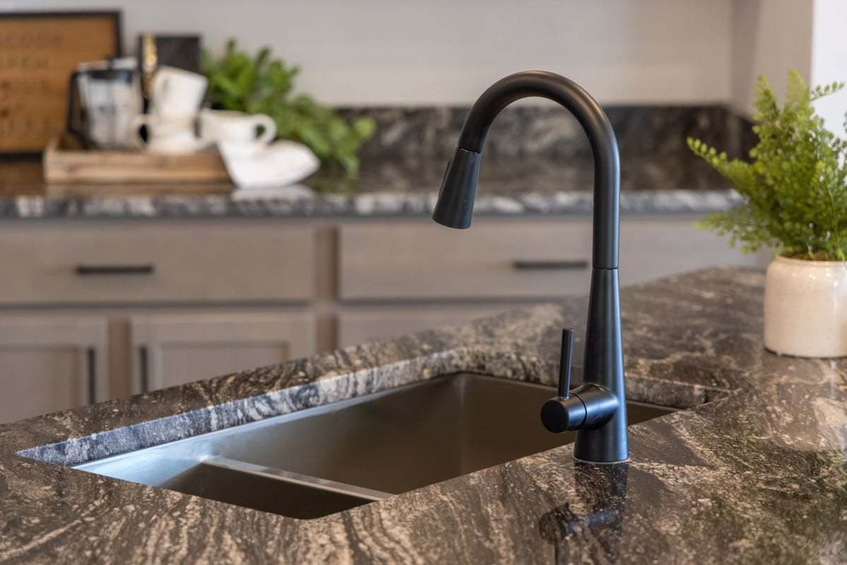 Plan 1989 Modeled - Matte black kitchen faucet