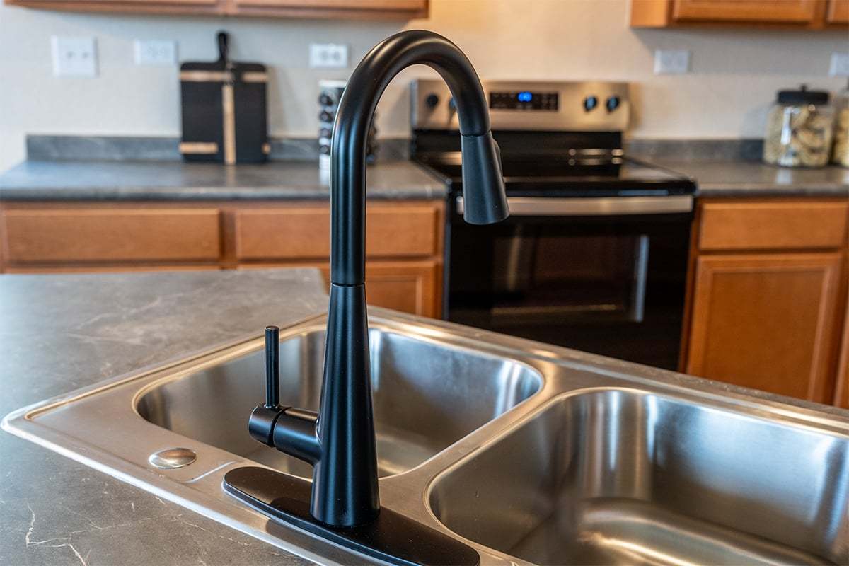 Plan 1389 - Matte black kitchen faucet