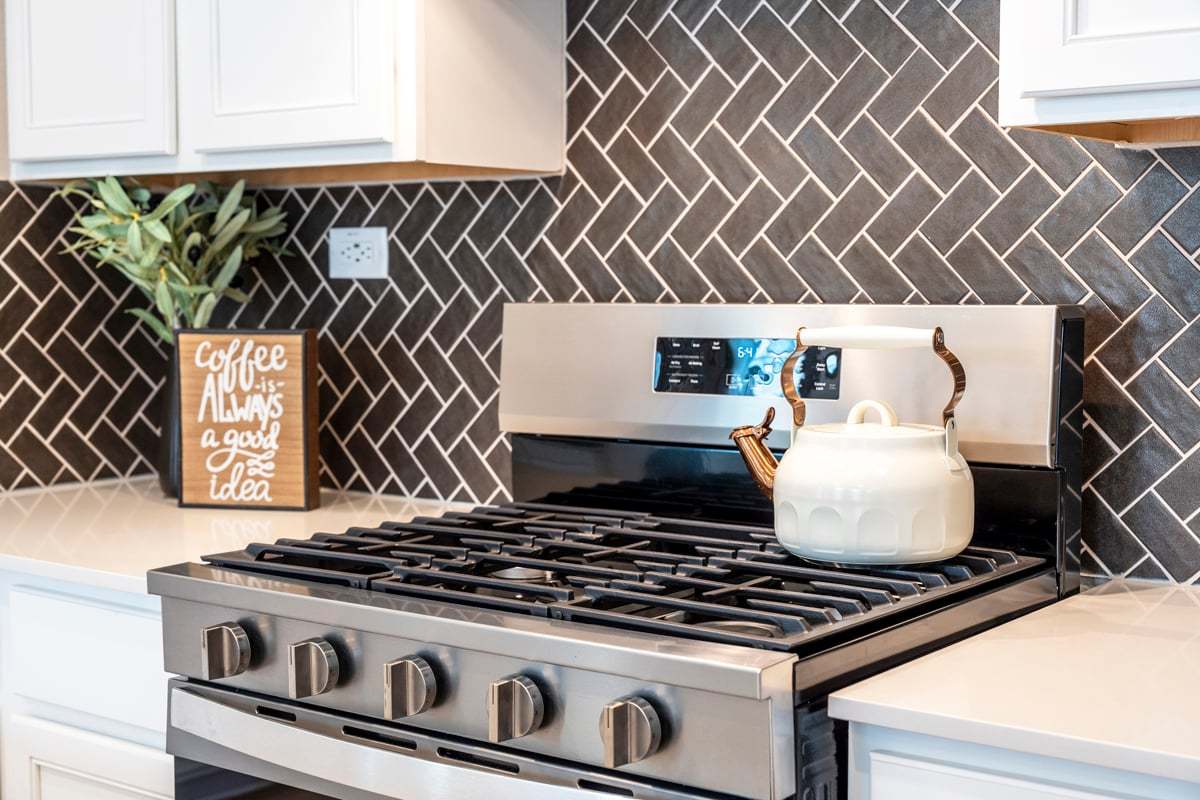 Plan 1605 Modeled - Stainless steel gas range