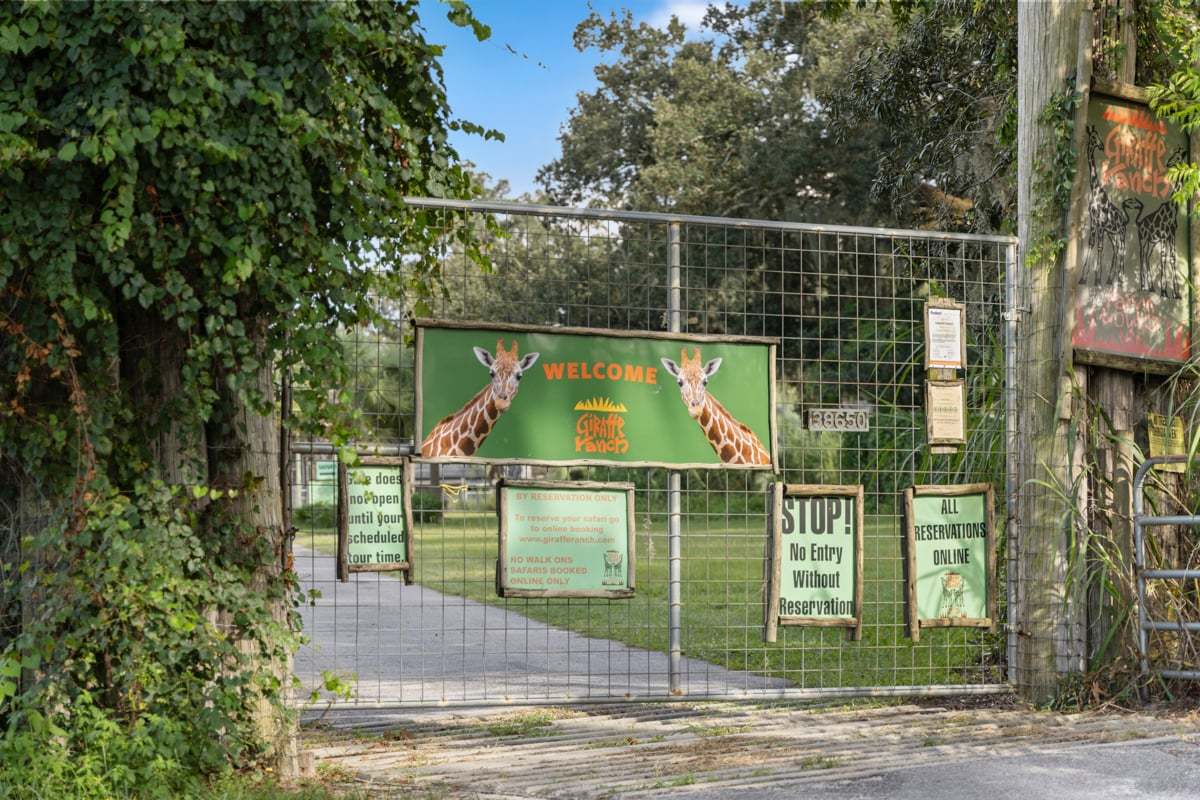 Only minutes to Giraffe Ranch