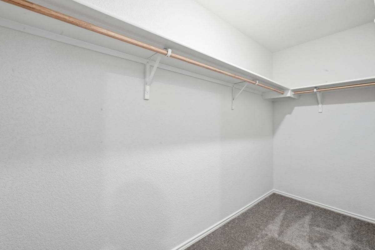 Primary walk-in closet