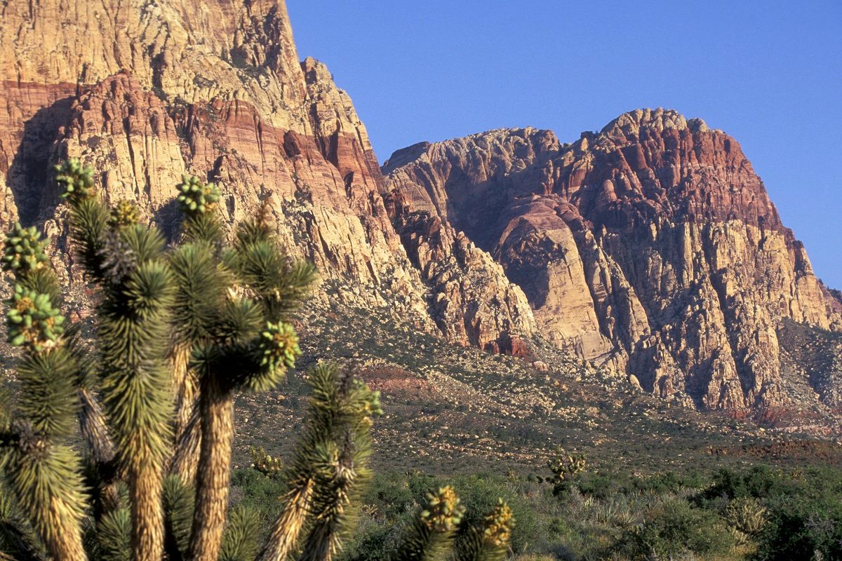 Red Rock Canyon
