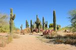 Heartland Ranch - Coolidge, AZ