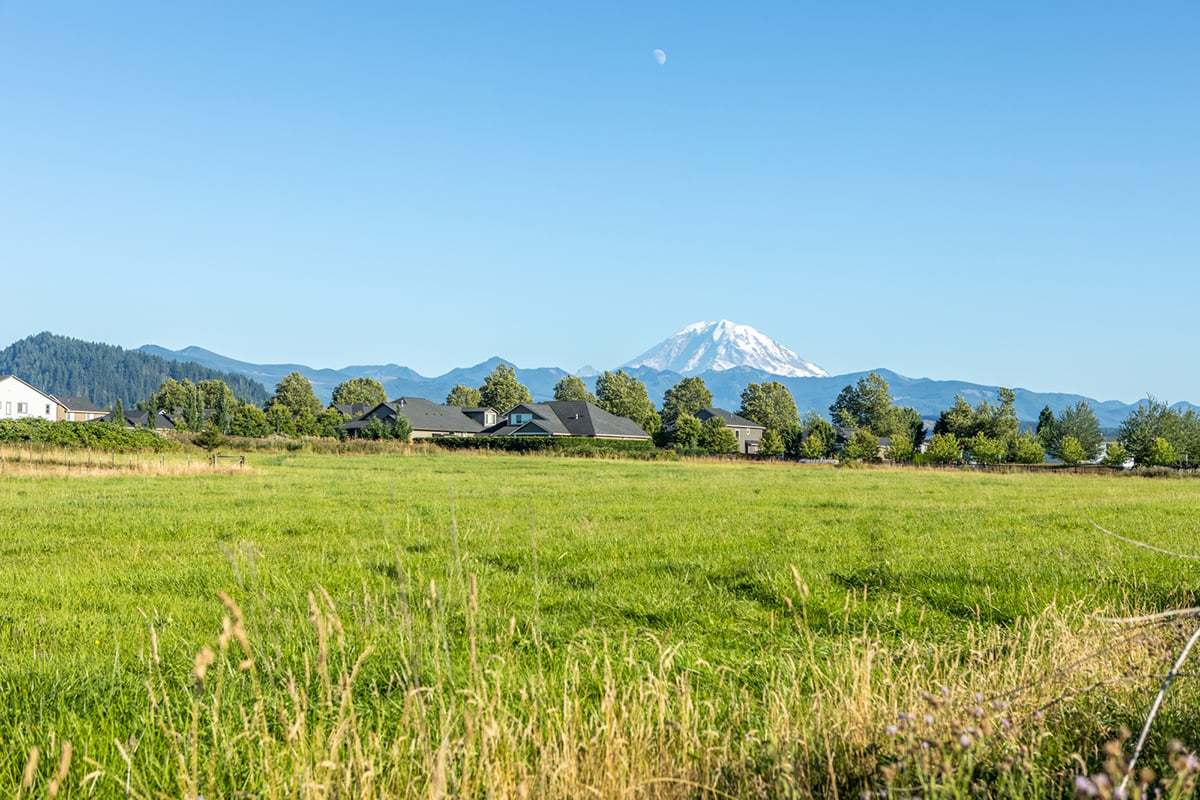 Mount Rainier View from Alder Brook