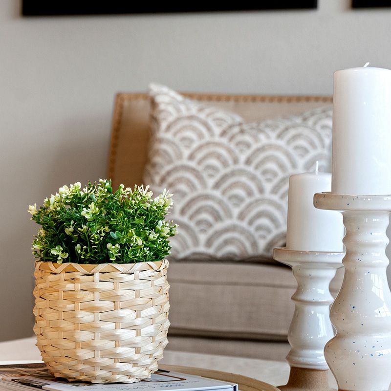 705 Purple Aster St. Youngsville, NC 27596