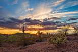 Tierra La Bella - Tolleson, AZ