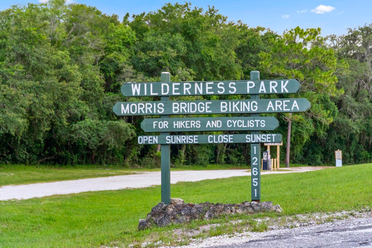 Near trails at Wilderness Park