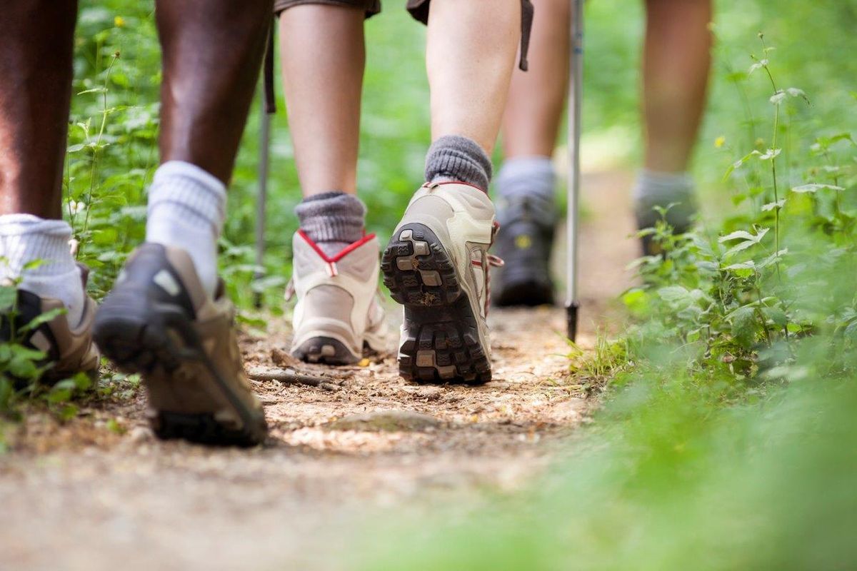Ten minutes to Carolina Thread Trail