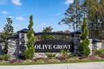 Home in Olive Grove by KB Home