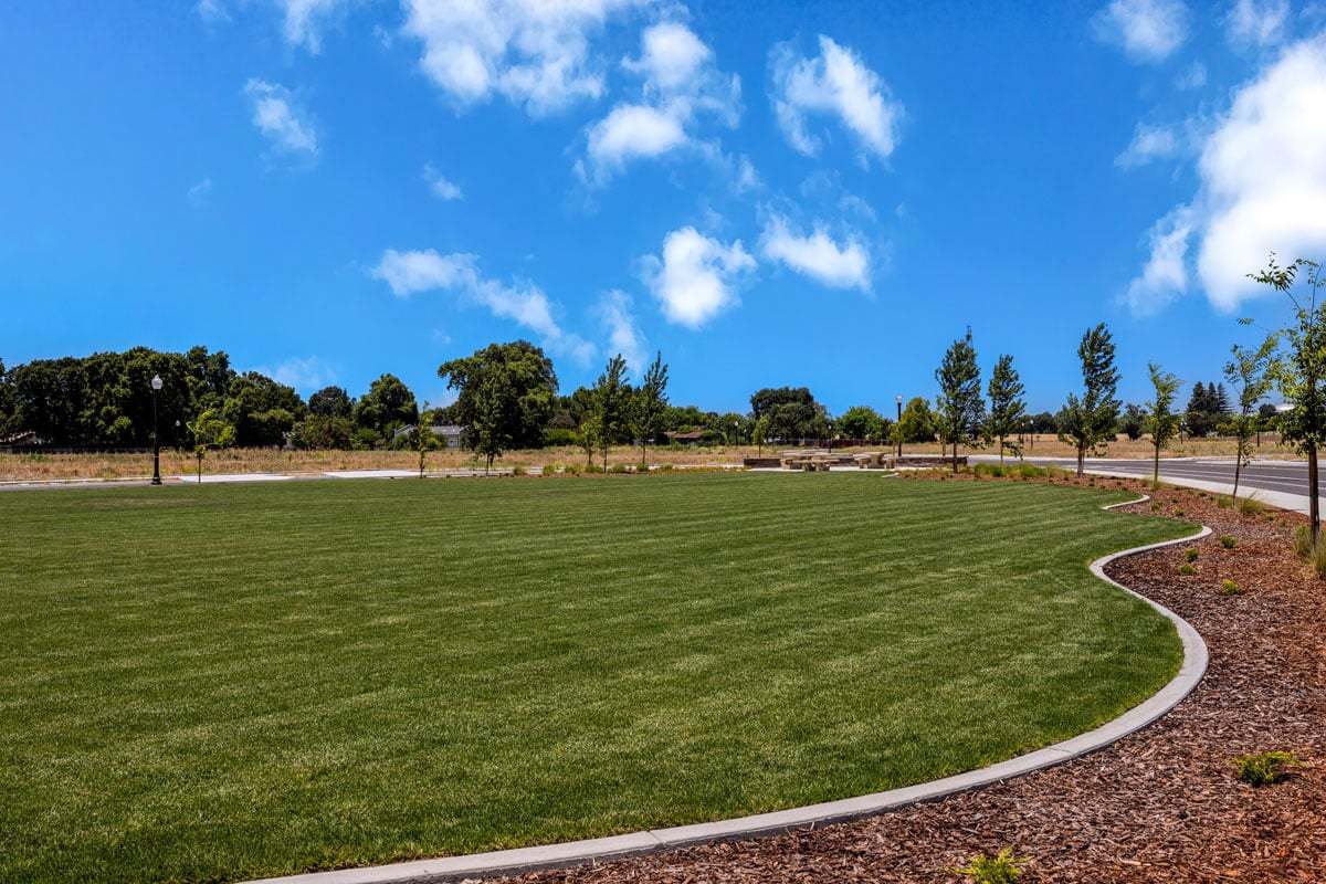 Community park