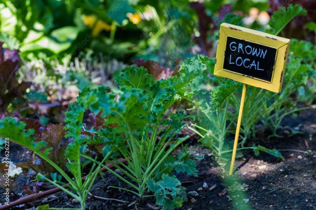 Community garden