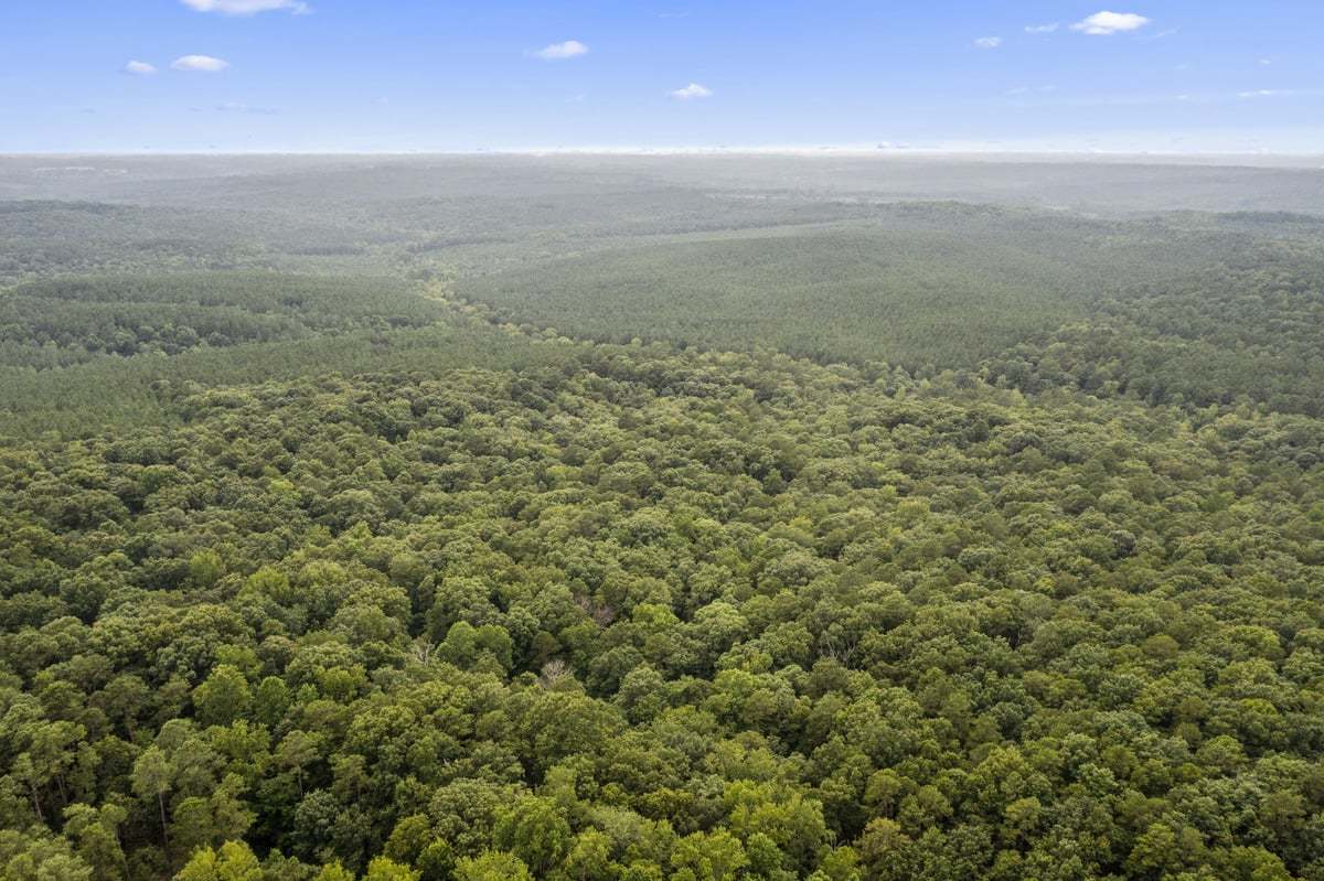 Near Raven Rock State Park