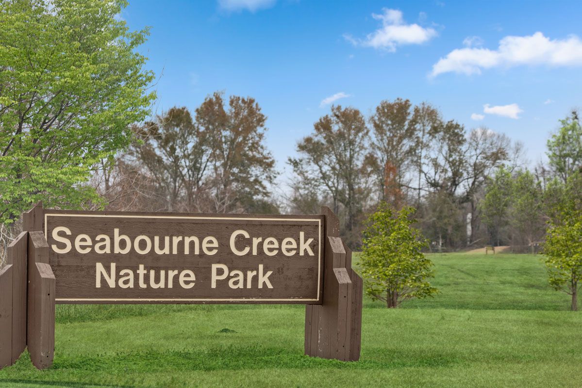 Near Seabourne Creek Nature Park