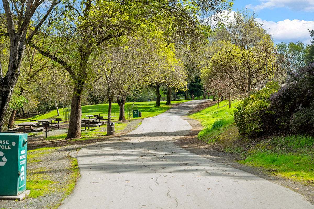 Near trails at Lake Chabot Regional Park