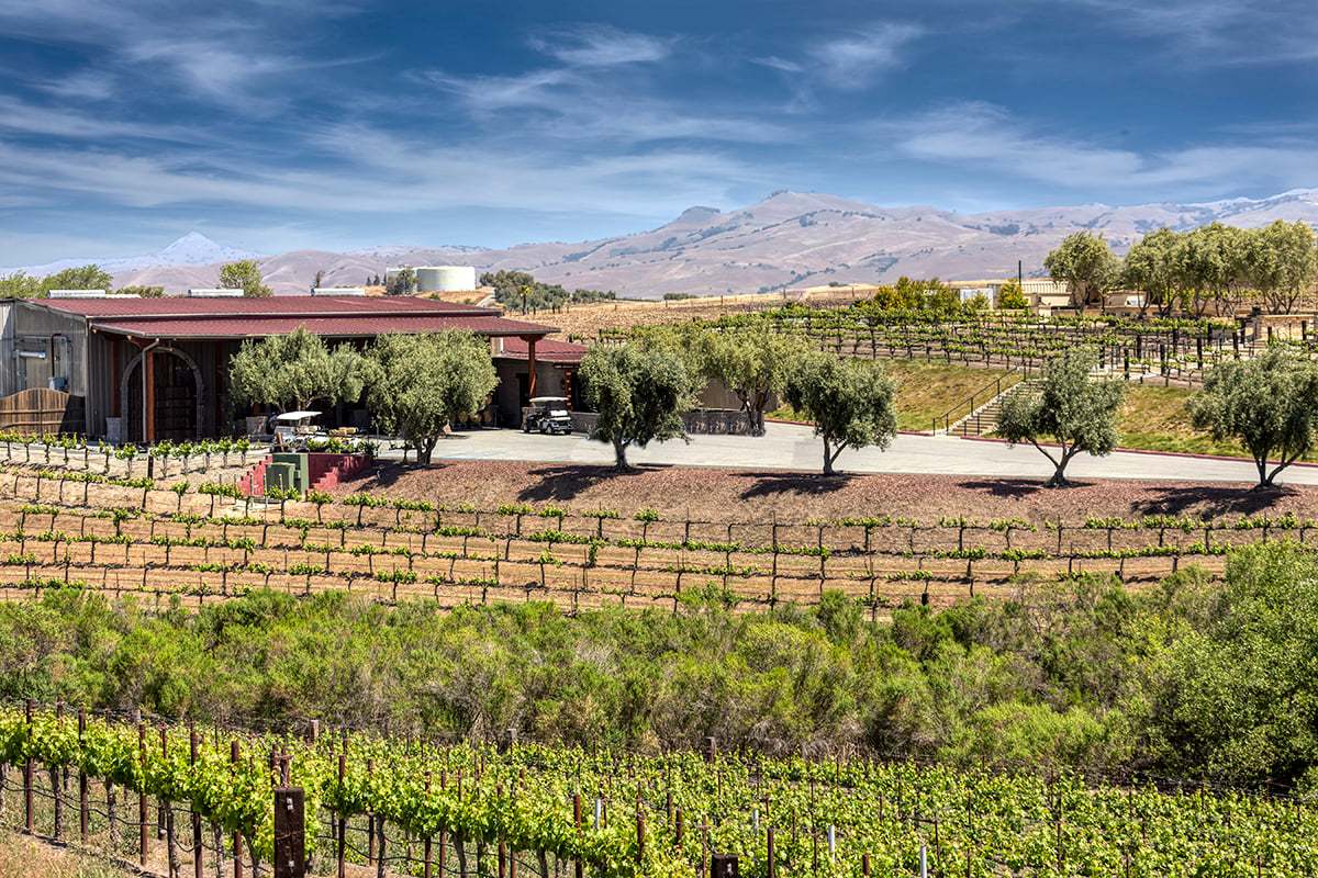 Close to Leal Vineyards