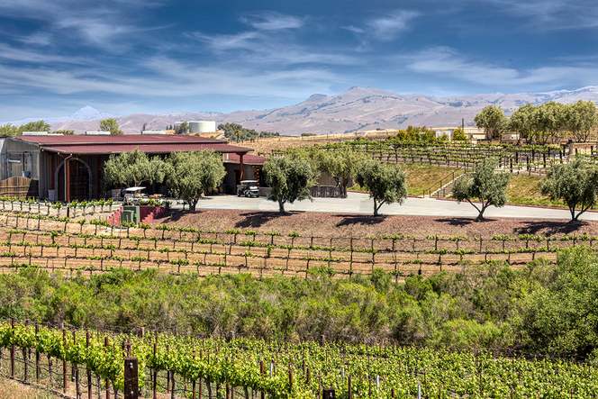 Close to Leal Vineyards