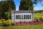 Hillside at Mount Dora - Mount Dora, FL