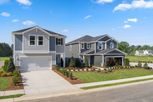 Bellina - York, SC