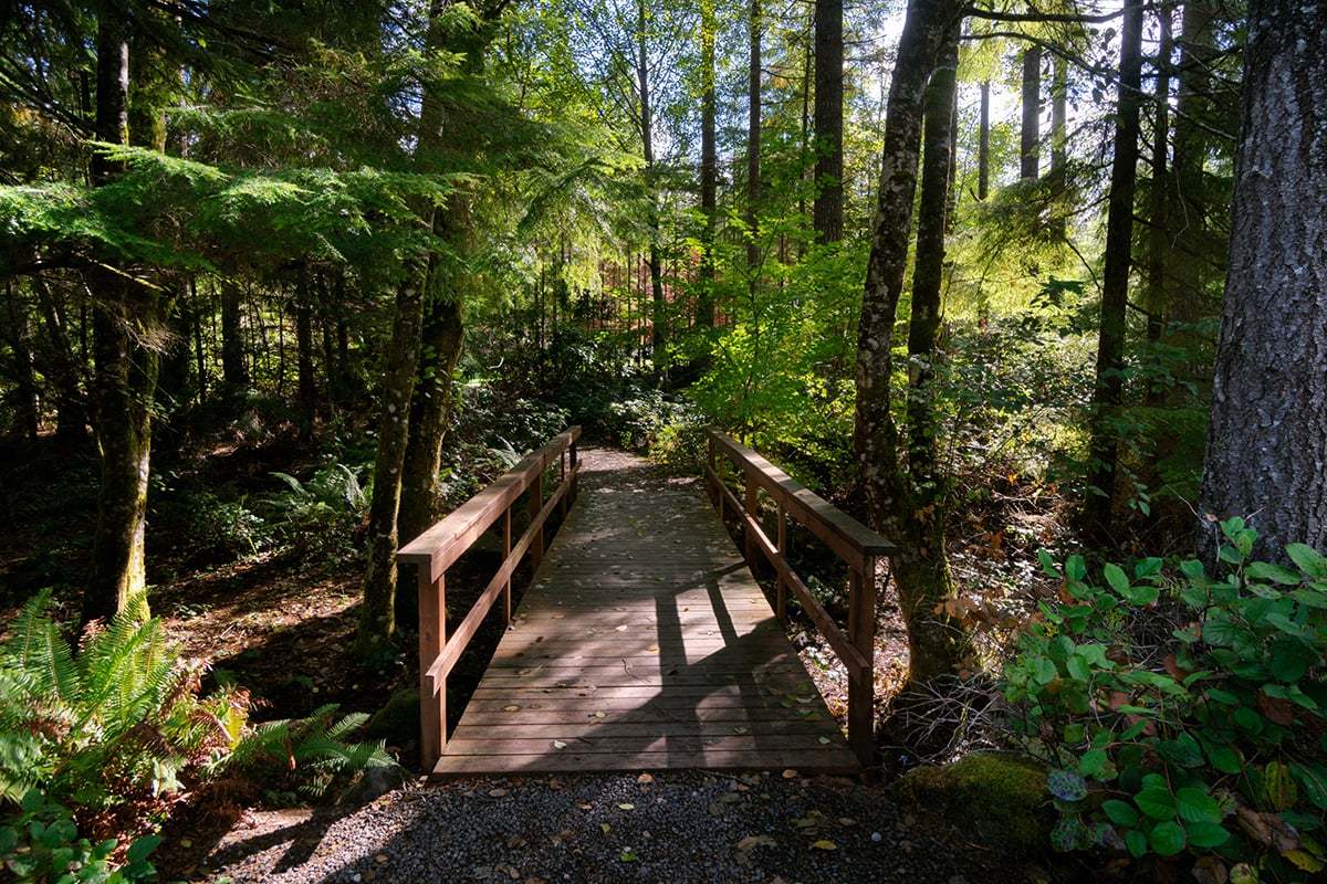 Community trails